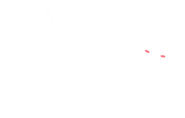 Ami Bigeye ขายส่งคอนแทคเลนส์ Logo White